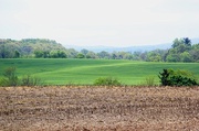 7th May 2013 - Rolling Hills