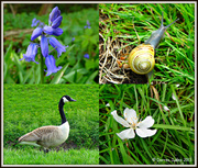 8th May 2013 - Spring on the valley.