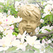 Boy In Apple Blossom by tonygig