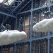 St Pancreas Station Clouds by bizziebeeme