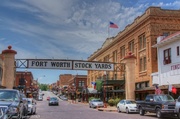 6th May 2013 - Fort Worth Stock Yards