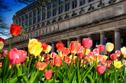 8th May 2013 - Union Station in Spring