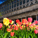 Union Station in Spring by taffy