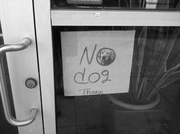 8th May 2013 - No Dog Thank
