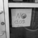 No Dog Thank by jrambo001