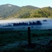 First frosty fog by kiwinanna