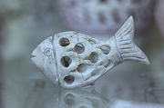 9th May 2013 - Stone Fish on a Glass Sea