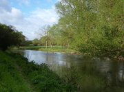 9th May 2013 - River Nadder Salisbury - 09-5