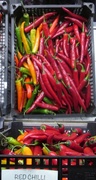9th May 2013 - Chilli or Chilly?