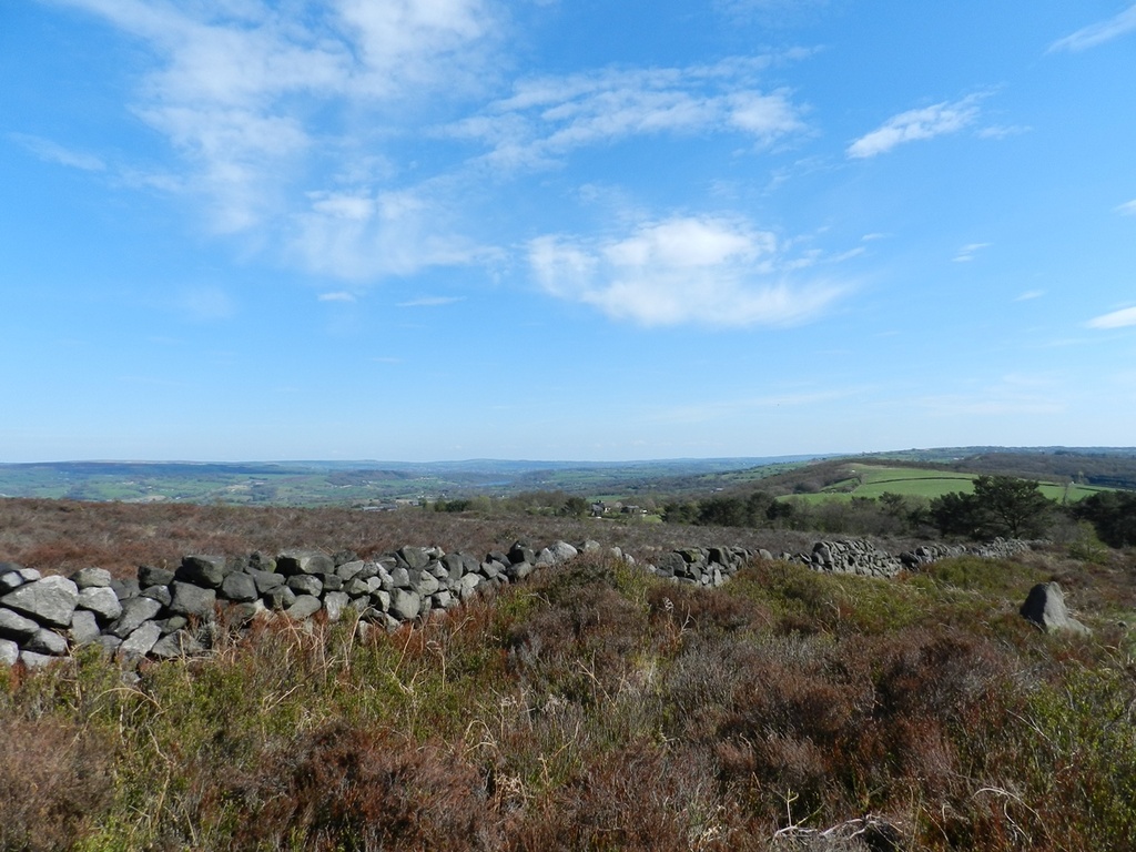 moorland view by roachling