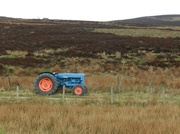 8th May 2013 - little old tractor
