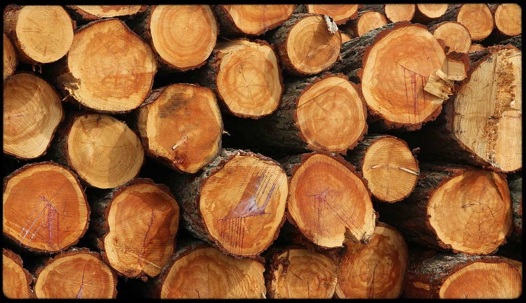 Log Pile by craftymeg