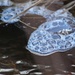 Blue bubbles IMG_3965 by annelis