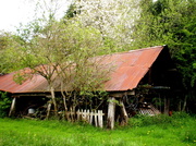 9th May 2013 - Rustic old barn....