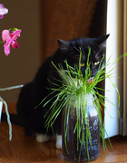 10th May 2013 - Tending her Garden