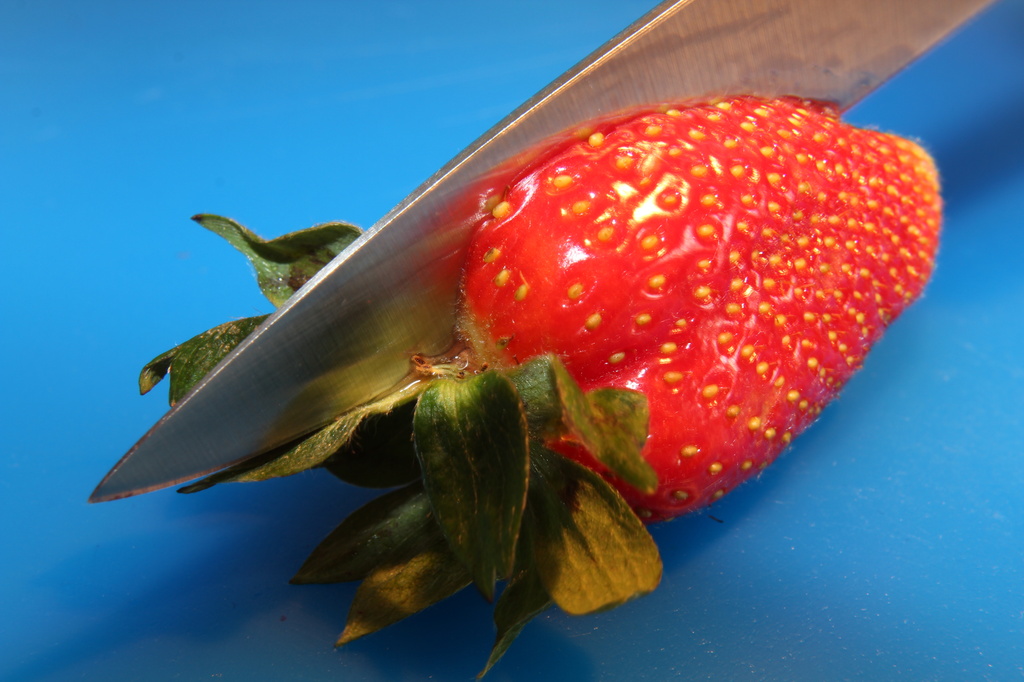 Strawberry by rachel70
