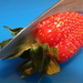 Strawberry by rachel70