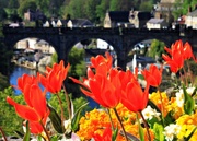 10th May 2013 - Knaresborough