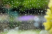 10th May 2013 - Rainy Window