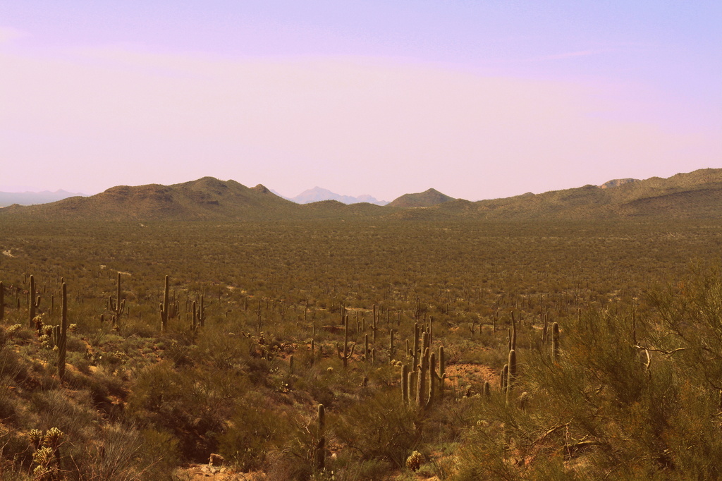 Desert View by kerristephens