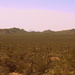 Desert View by kerristephens