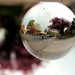 little planet and apple blossoms by summerfield