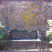 Sunlit Bench at Grey Towers by olivetreeann