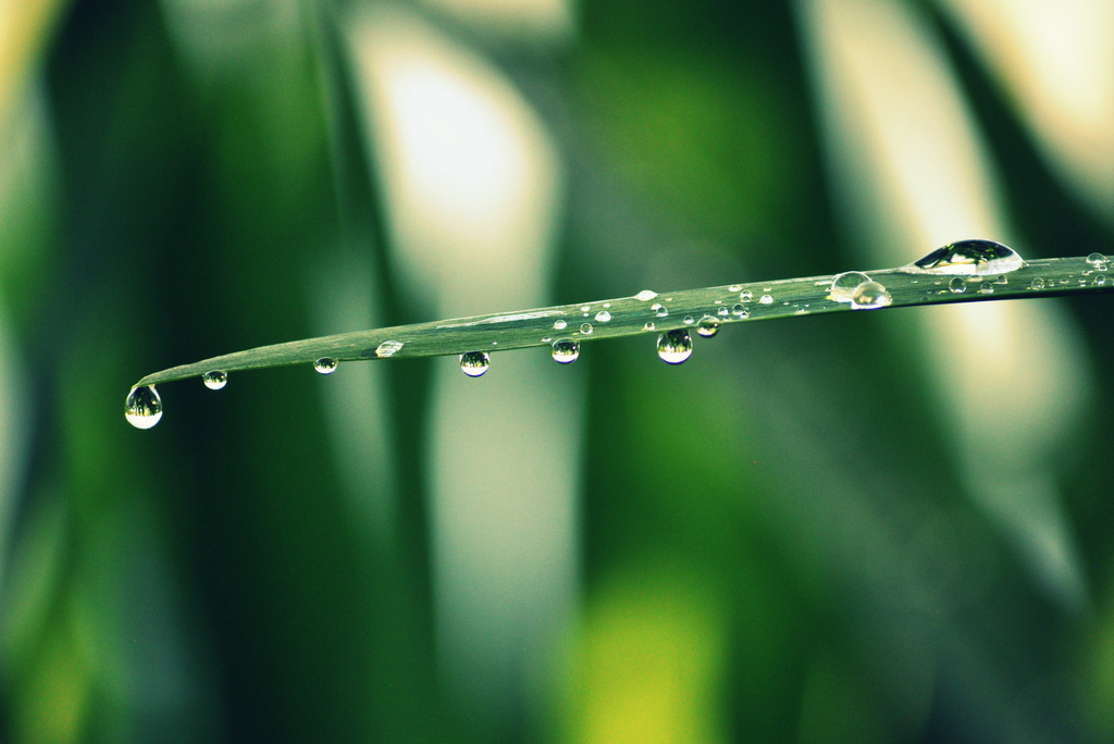 Droplets by pflaume
