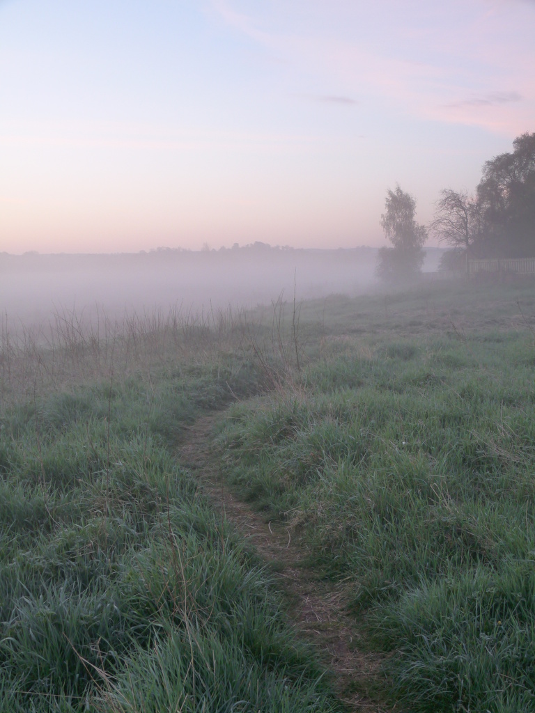 Early walk in the mist by sabresun