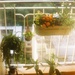 My Balcony by lily