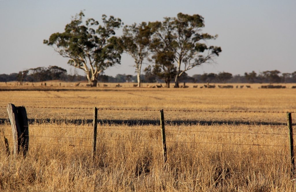 Mallee-Wimmera by pictureme