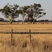 Mallee-Wimmera by pictureme