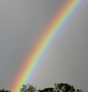 11th May 2013 - rainbow