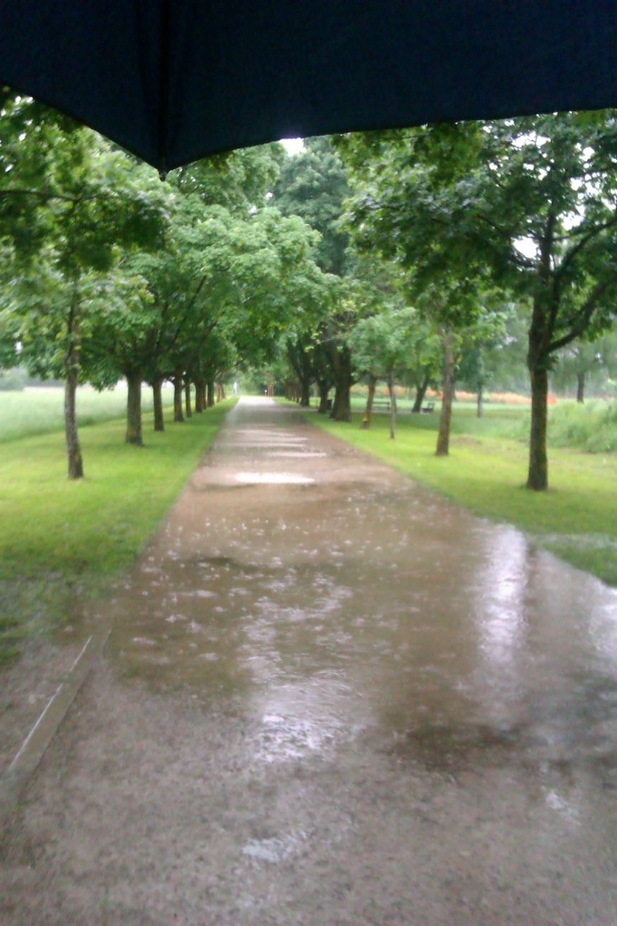 Rainy day by nami