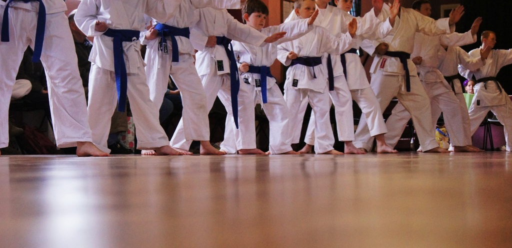 Karate Line Dance :-) by jesperani