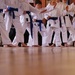 Karate Line Dance :-) by jesperani