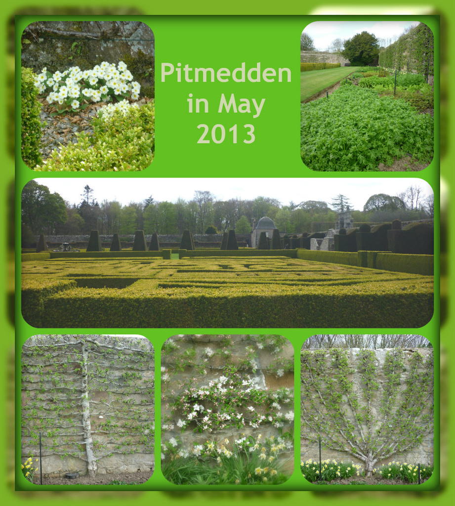Pitmedden in May Collage by sarah19