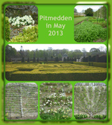12th May 2013 - Pitmedden in May Collage