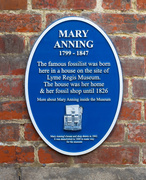 10th May 2013 - mary anning