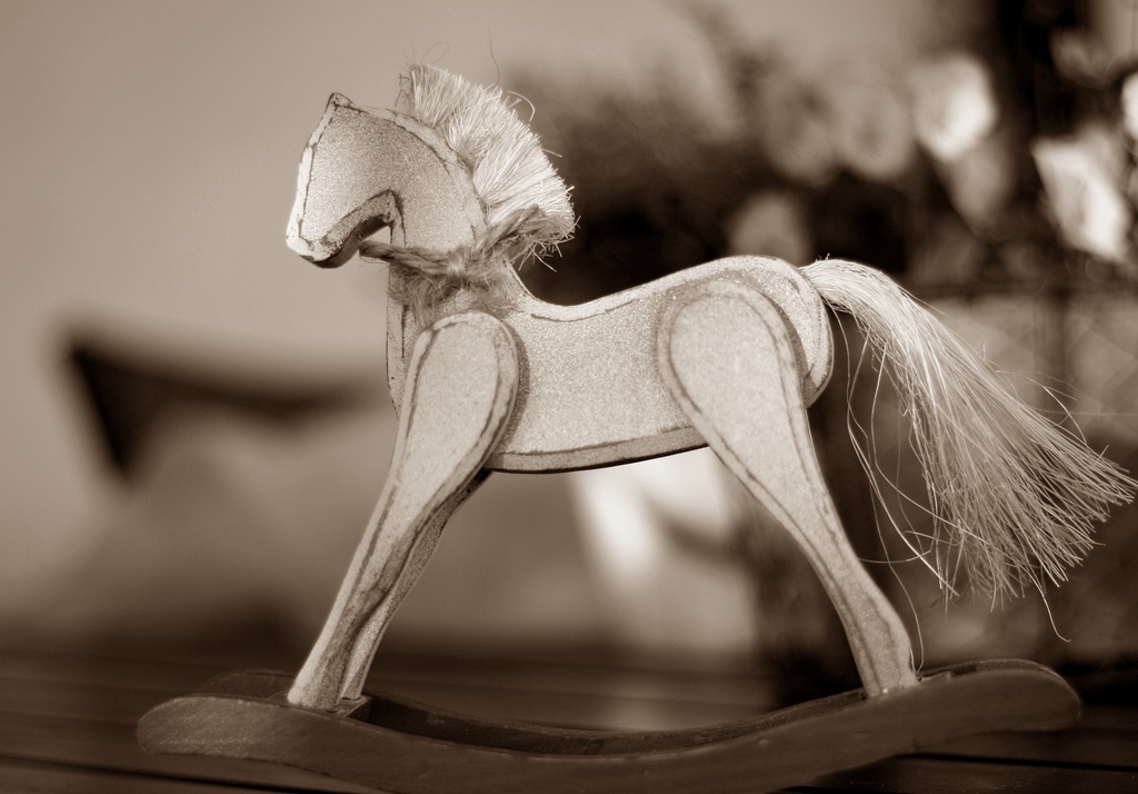 Rock the rocking horse by susale
