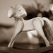 Rock the rocking horse by susale
