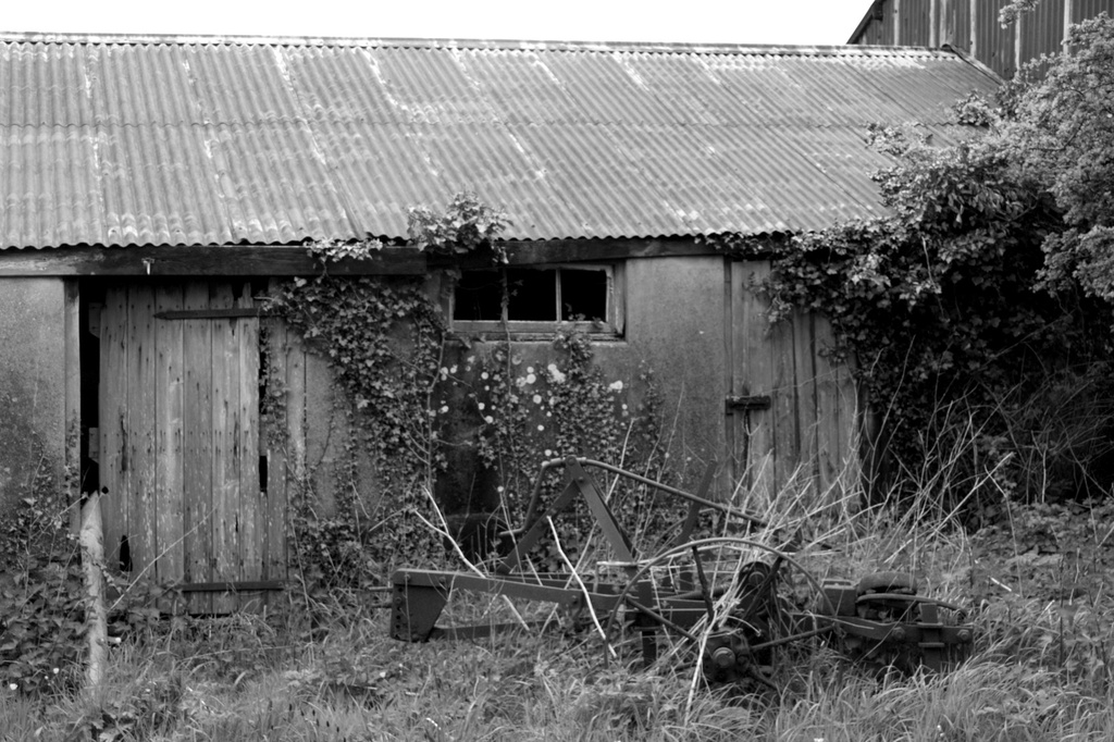Old shed by nicolaeastwood