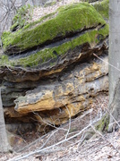 27th Apr 2013 - another neat rock at Chapin Forest