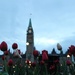 tulips on parliament hill by summerfield