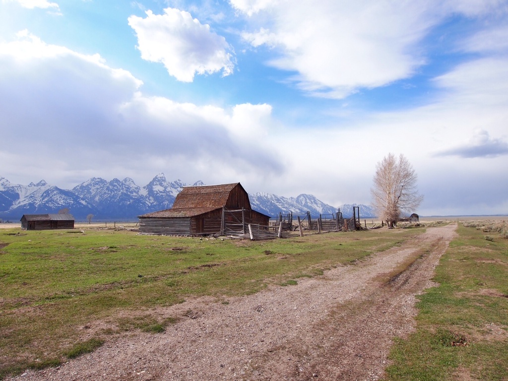 Mormon Row by peterdegraaff