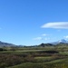 Molesworth Panorama by kiwinanna