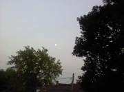 19th Aug 2010 - The Moon