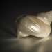 shell study by ltodd