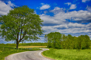 13th May 2013 - Country Road