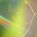 Joseph and his Amazing Technicolor Dream Web by alophoto
